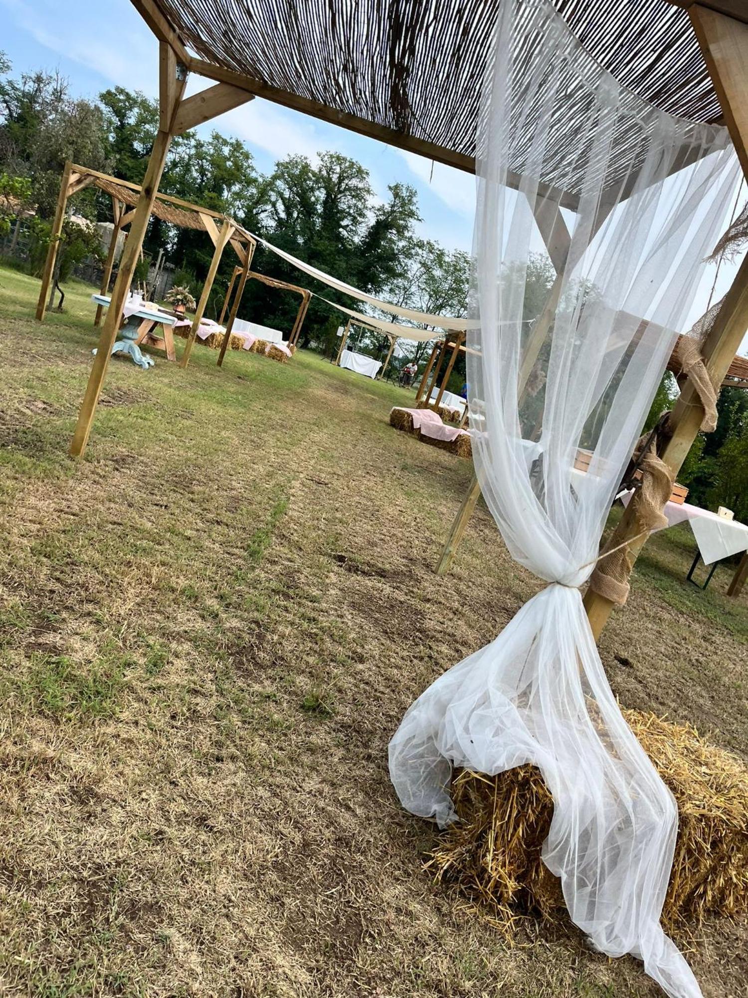 Agriturismo Il Campagnino Cremona Kültér fotó