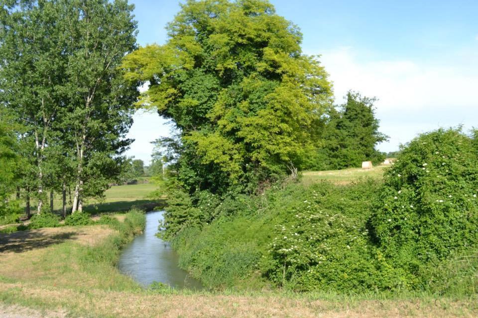 Agriturismo Il Campagnino Cremona Kültér fotó