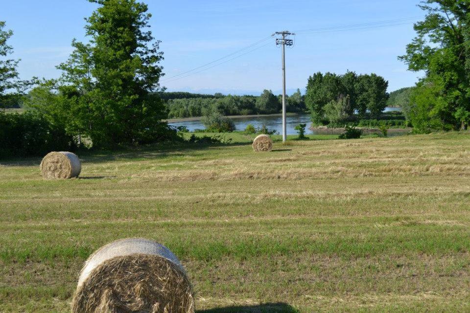 Agriturismo Il Campagnino Cremona Kültér fotó