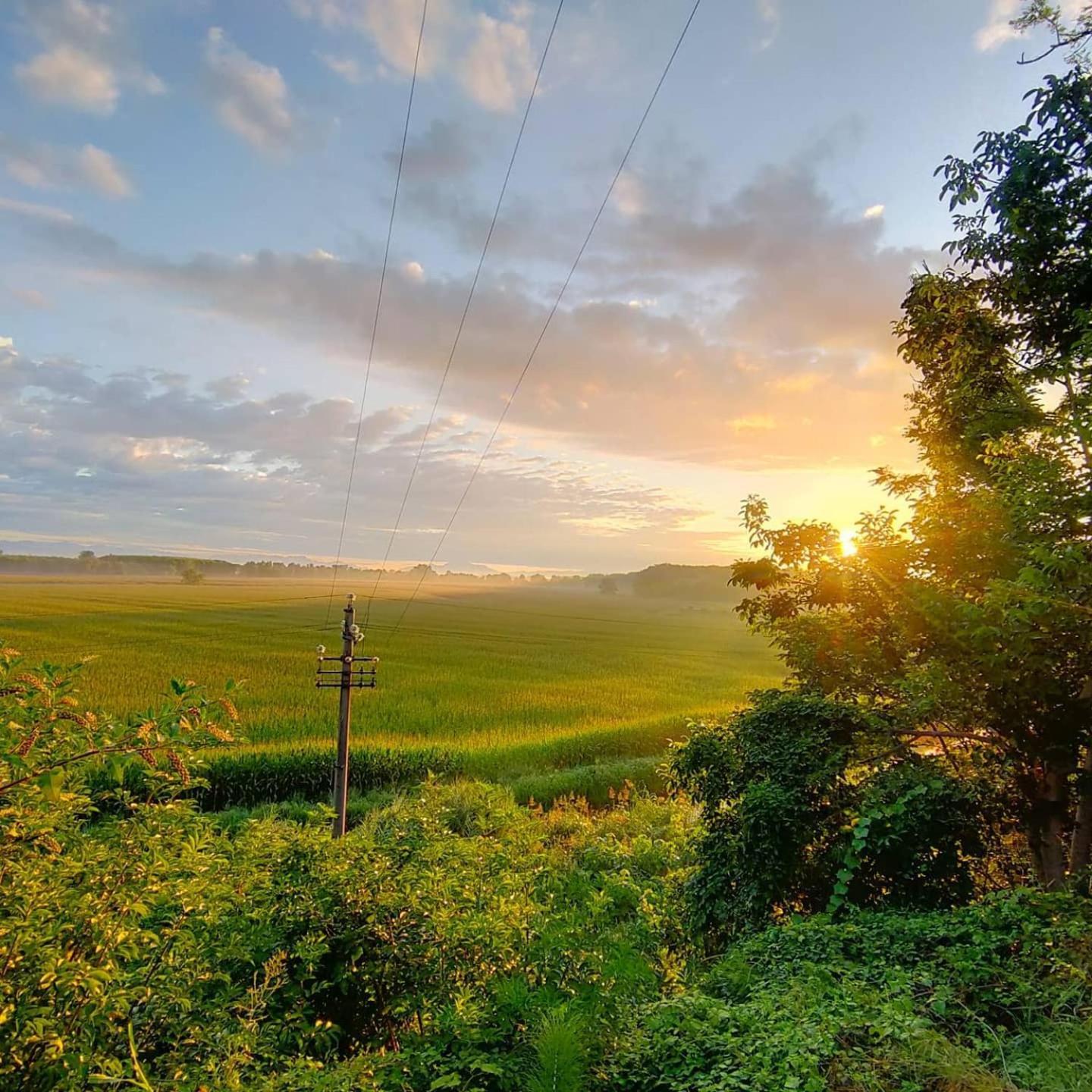Agriturismo Il Campagnino Cremona Kültér fotó