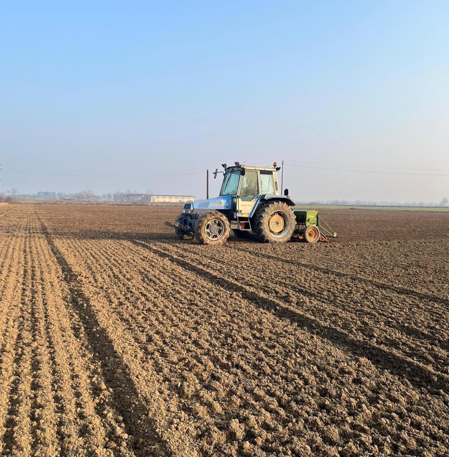 Agriturismo Il Campagnino Cremona Kültér fotó